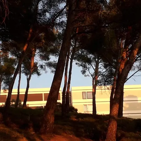 Athena - Piscine Et Tennis * Bandol